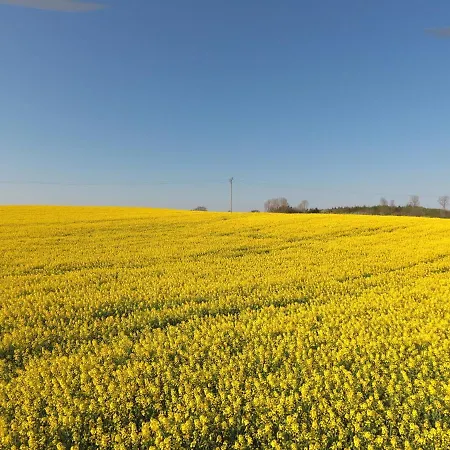 Schleiblick App 5 Apartman Rabenkirchen-Faulück