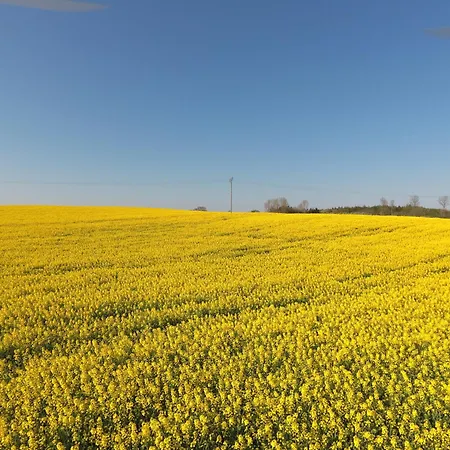 Apartman Schleiblick App 5